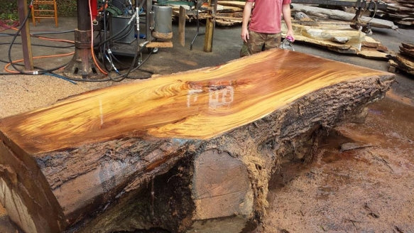 Cutting Hickory slabs