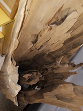 Eroded Cypress Log (s)