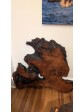 Redwood 'Wall Art