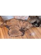 Oak Burl Coffee Table