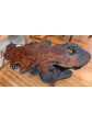 Fabulous Redwood Birdseye Burl Coffee Table