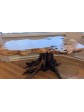 Maple burl coffee table 