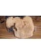 Spalted Maple Coffee Table