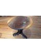 black walnut tree stand 