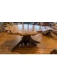 Phenomenal Red Oak Burl Dining Table